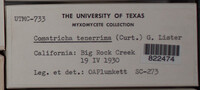 Image Associated With the Occurence